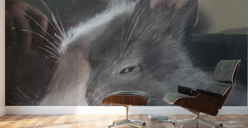 Sleepy Bunny Wall Murals