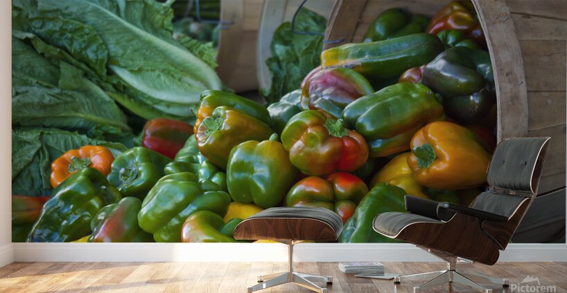 Kitchen Art 5 Wall Murals