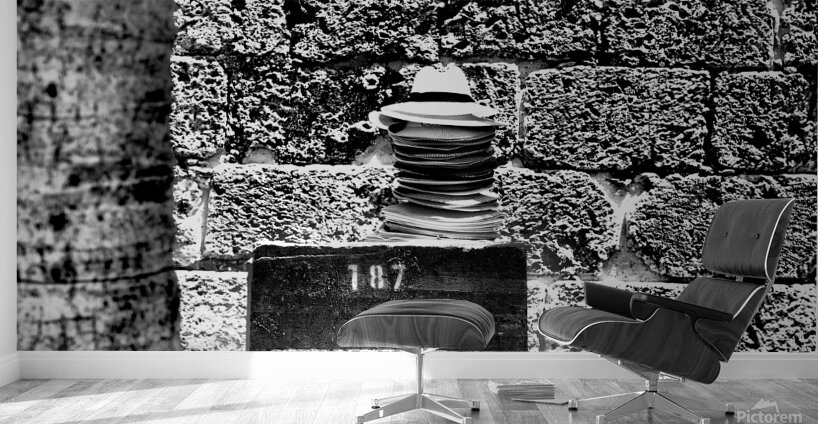 Columbian Hats Wall Murals