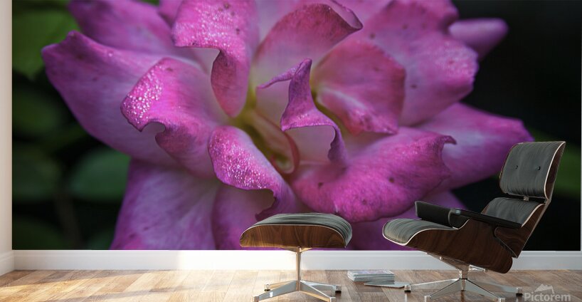 Flower 22 Wall Murals