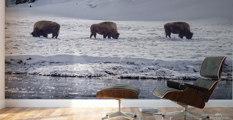 Montana 4 Wall Murals