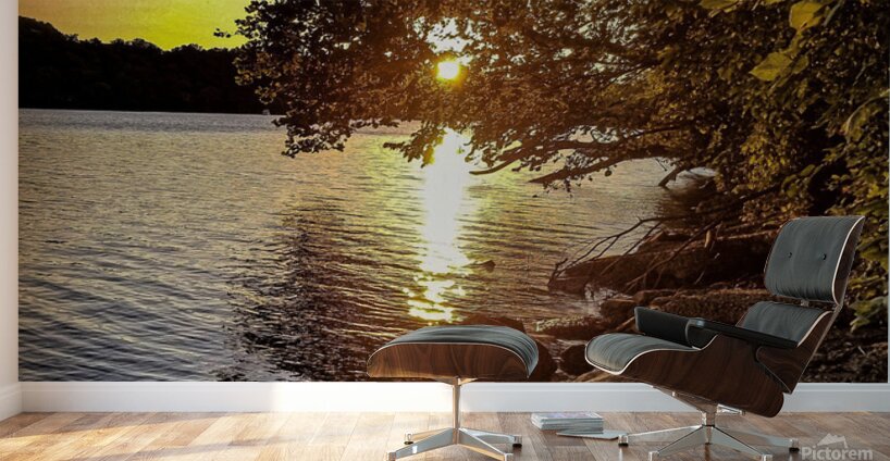 Potomac River Washington Wall Murals