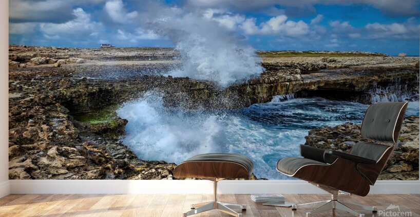 Water at work 1 Wall Murals