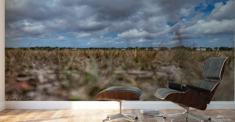 Celery field   Wall Murals