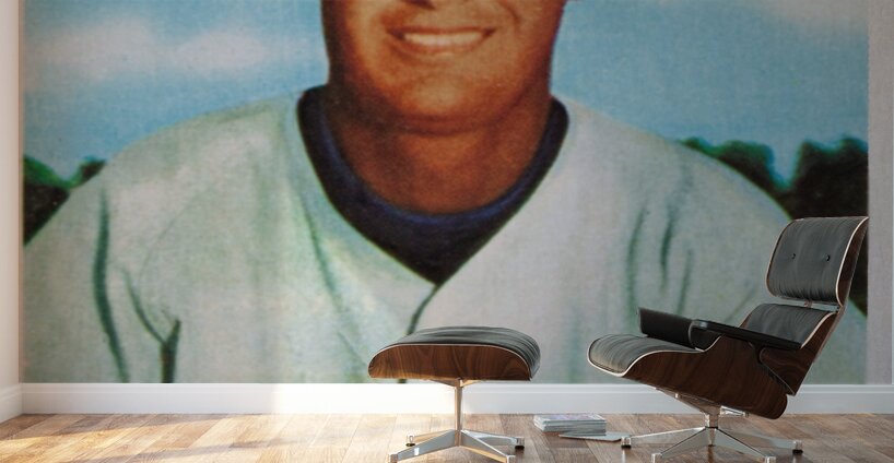 1954 Ted Williams Baseball Card Wall Art Wall Murals