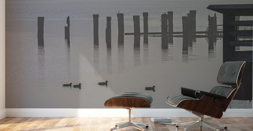 FS221019 Fog In The Morning Wall Murals