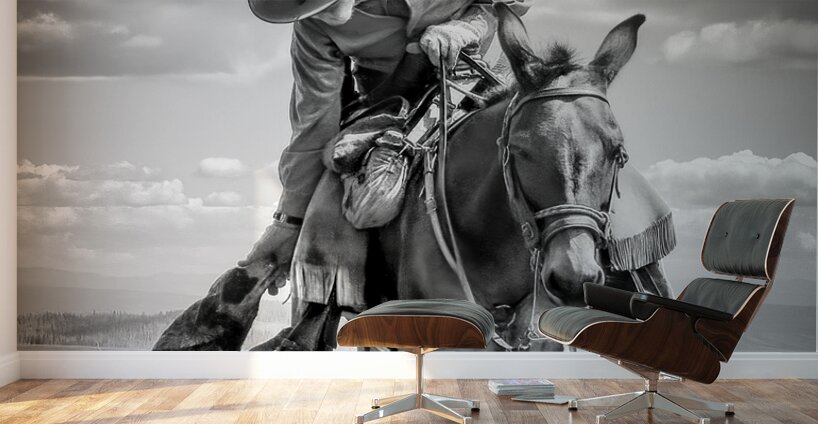 Lone Figure on Trail Ride Wall Murals