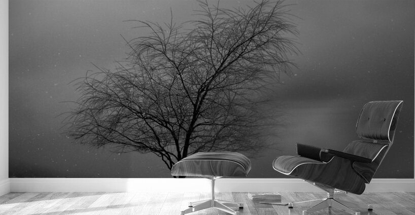 DSC 0274 Wall Murals