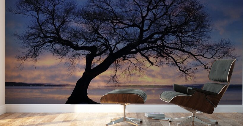 Lakeside in Geneva Wall Murals