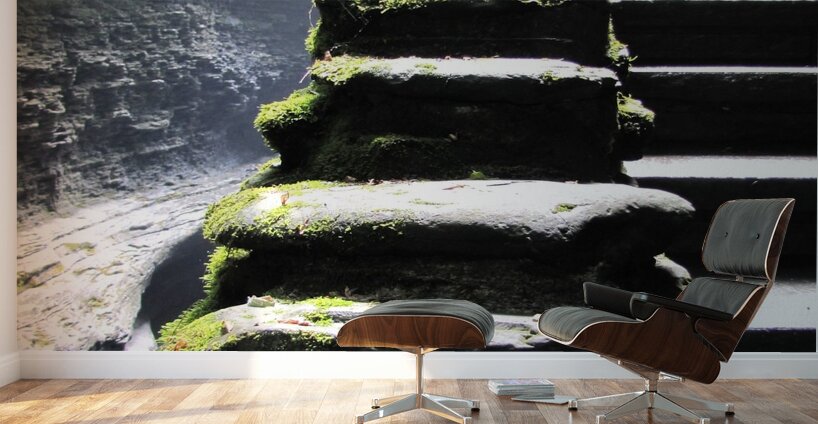 Stairway at Watkins Wall Murals