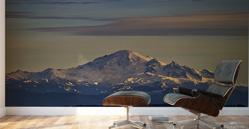 Centennial Peak Wall Murals