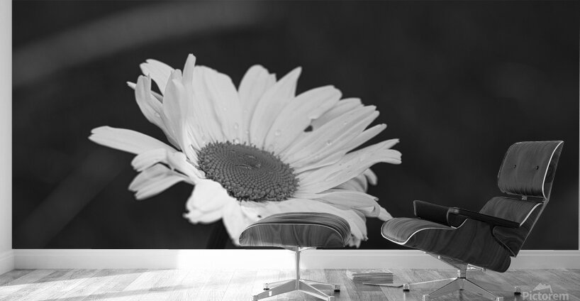 A Spring Tune Wall Murals