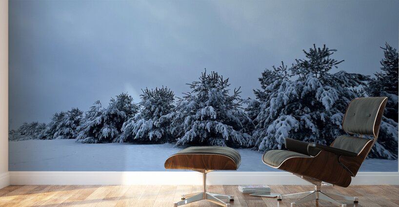Snowy Trees Wall Murals