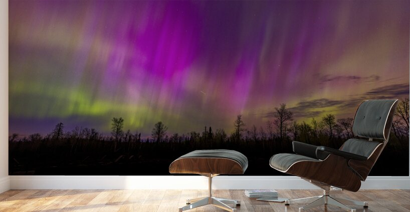 Homestead Aurora | May 2024 Wall Murals