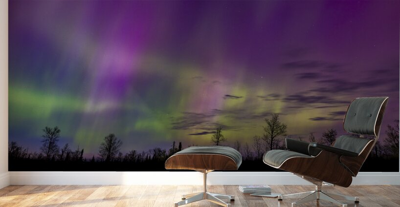 Homestead Aurora | May 2024 Wall Murals