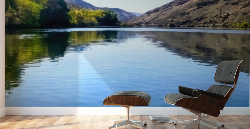 The Snake River in Oregon Wall Murals