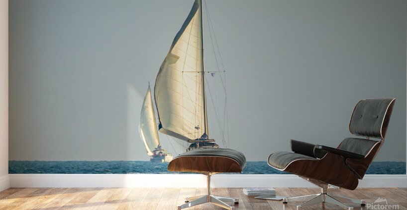 20220311 IMG 2593 Enhanced NR Wall Murals