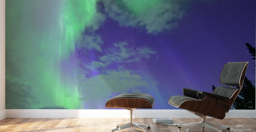 DSC 2521 Wall Murals