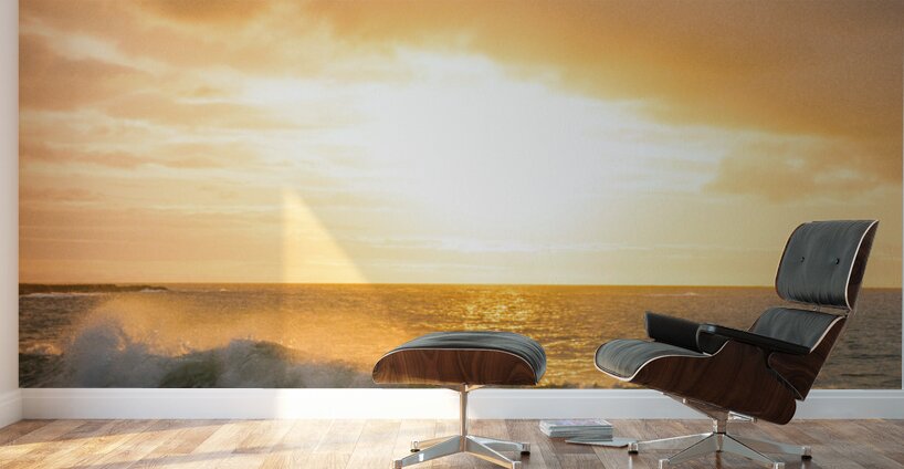 The Beach Of Kauai Hawaii Wall Murals