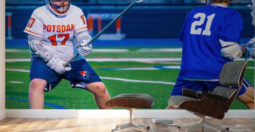  DSC3062 Enhanced NR Wall Murals