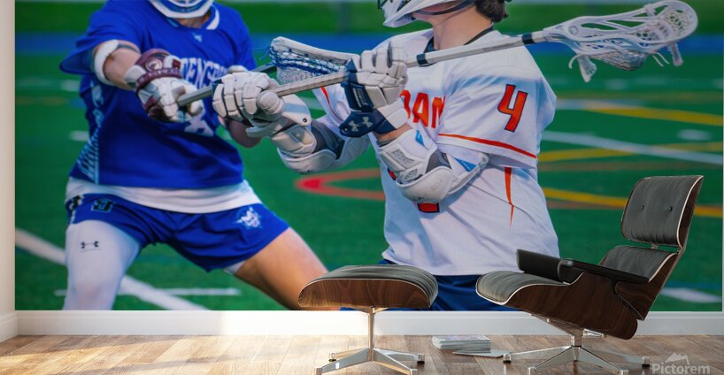  DSC3015 Enhanced NR Wall Murals