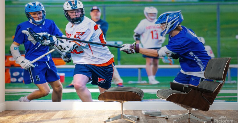  DSC3046 Enhanced NR Wall Murals