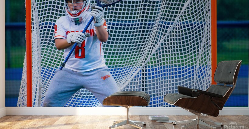  DSC2989 Enhanced NR Wall Murals