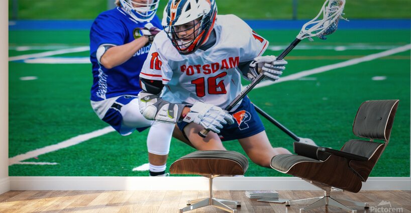  DSC2941 Enhanced NR Wall Murals