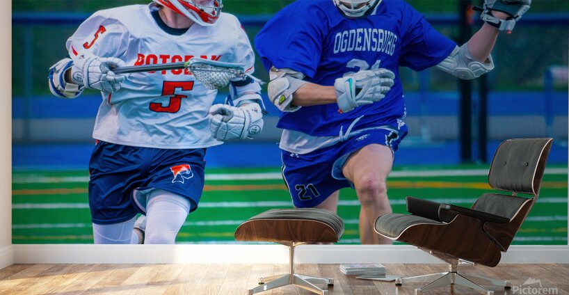  DSC2978 Enhanced NR Wall Murals