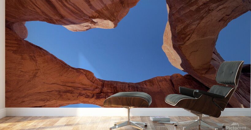 Double Arch Upward View Wall Murals