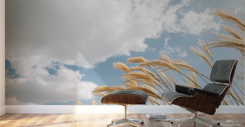 Autumn reeds Wall Murals