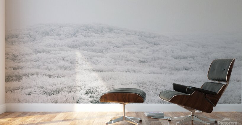 Jeju island winter mountain Wall Murals