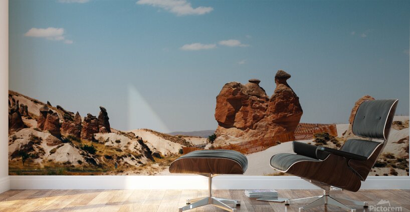 Cappadocia camel rock Wall Murals