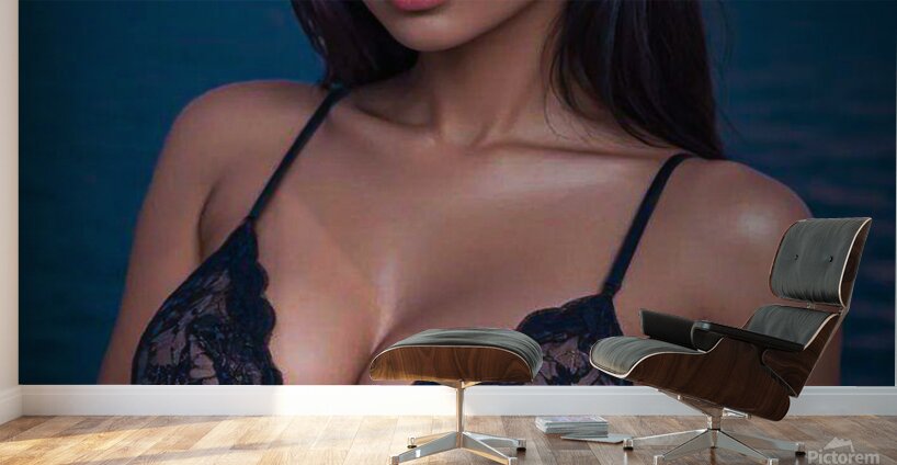 Evening Play-Date Wall Murals