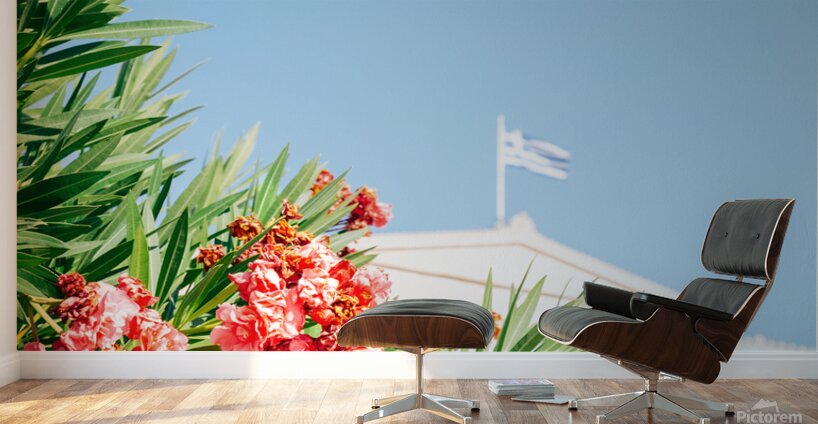 Greek Parliament Wall Murals