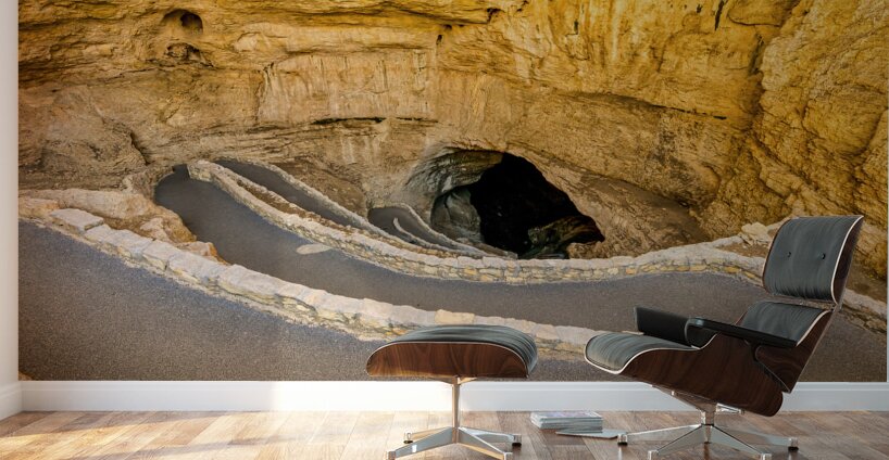 Path to Carlsbad Cavern Wall Murals
