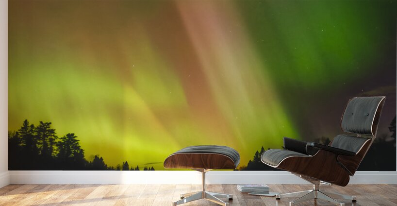 SKYS ON fIRE Wall Murals
