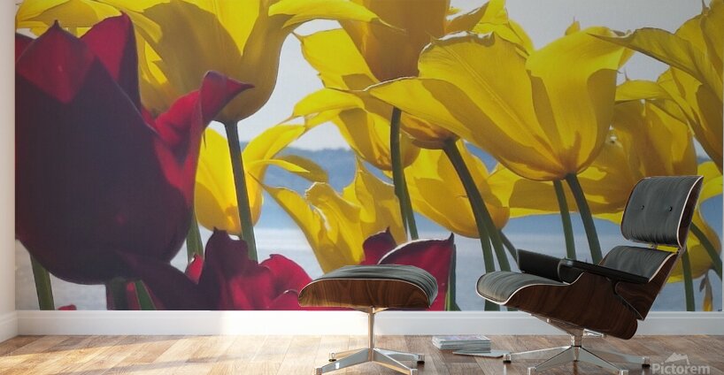 floresalrya Wall Murals