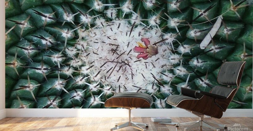 IMG 20240513 160259 Wall Murals