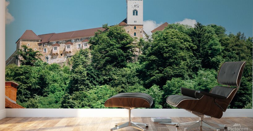 Ljubljana castle Wall Murals