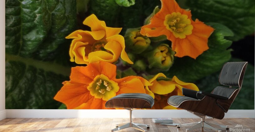 IMG 20240410 122004 Wall Murals