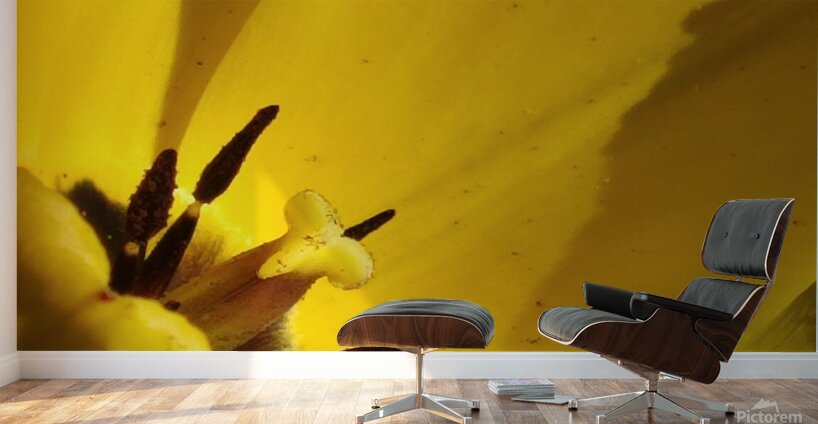 IMG 20240411 145209 Wall Murals