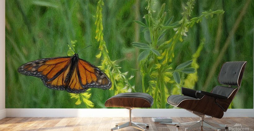 Monarch Summer Wall Murals