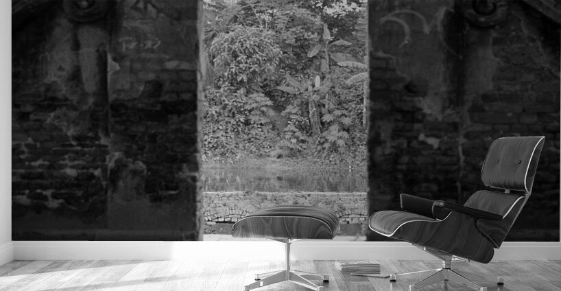 Dreamworld Wall Murals