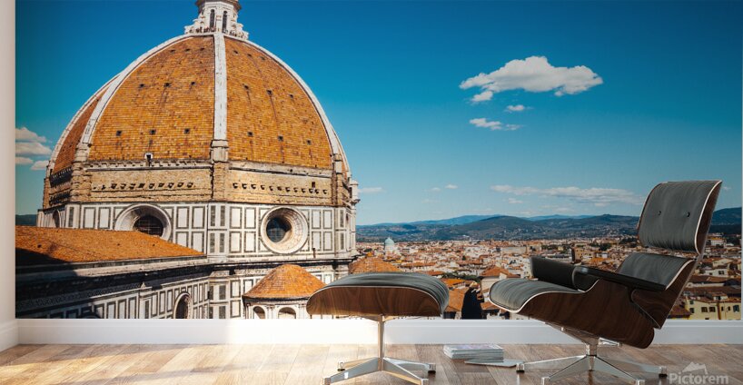 Firenze Italy Wall Murals