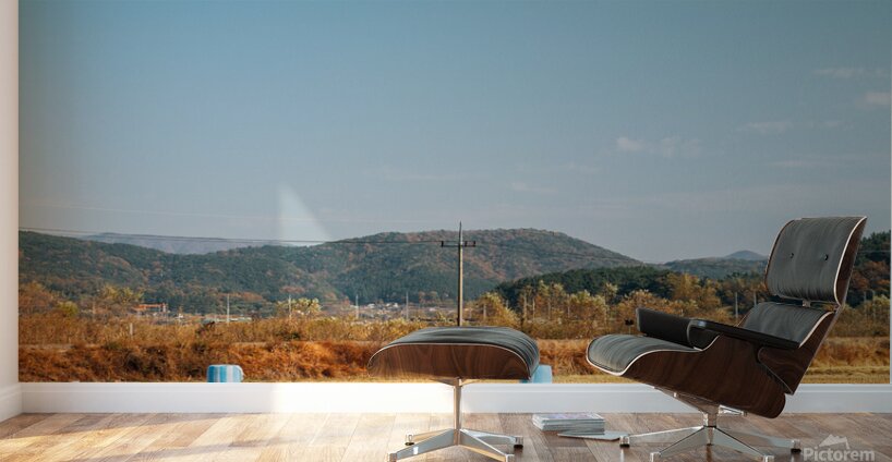 Autumn paddy field Wall Murals