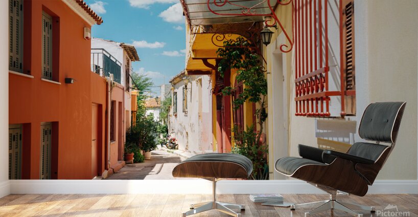 Athens Plaka Wall Murals
