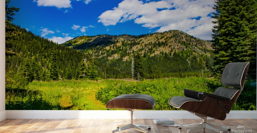 Peaceful trail Wall Murals