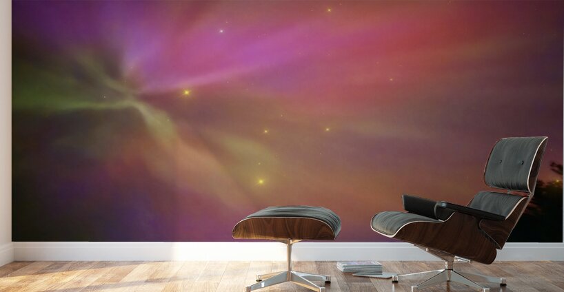 Starburst  Aurora by Elisha Farmer  Wall Murals