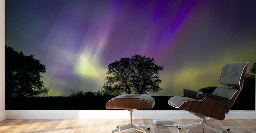 Lone Tree Under Aurora Glow Wall Murals